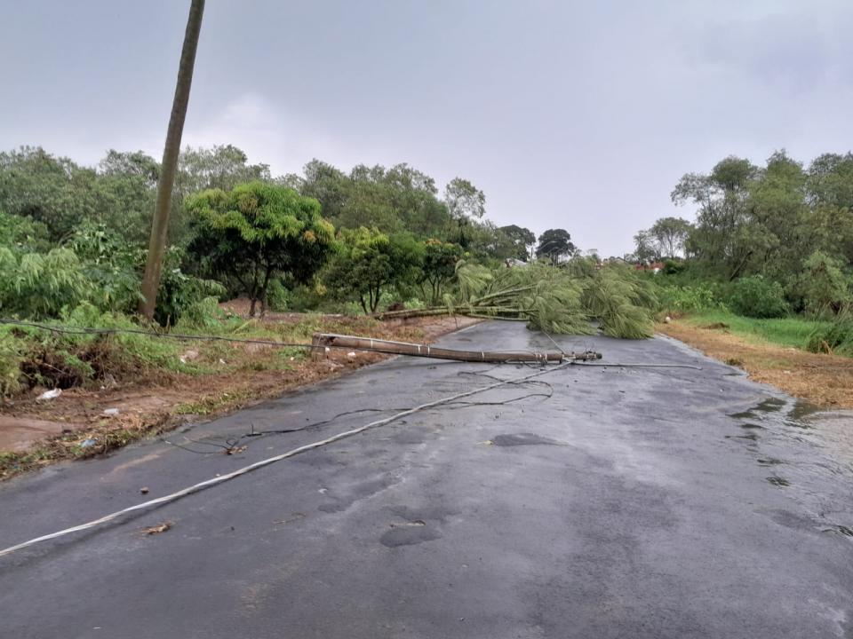 Foto 22 de 29 — Tempestade derruba dezenas de árvores e causa prejuízos em Boa Esperança do Sul